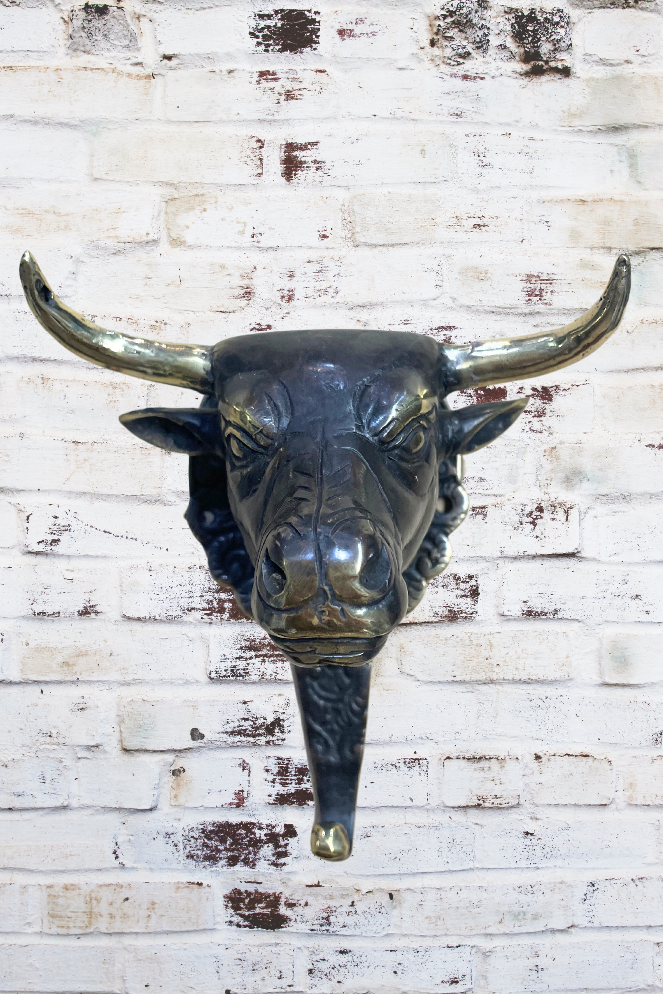 'Taurus Bull' Brass Wall Hook
