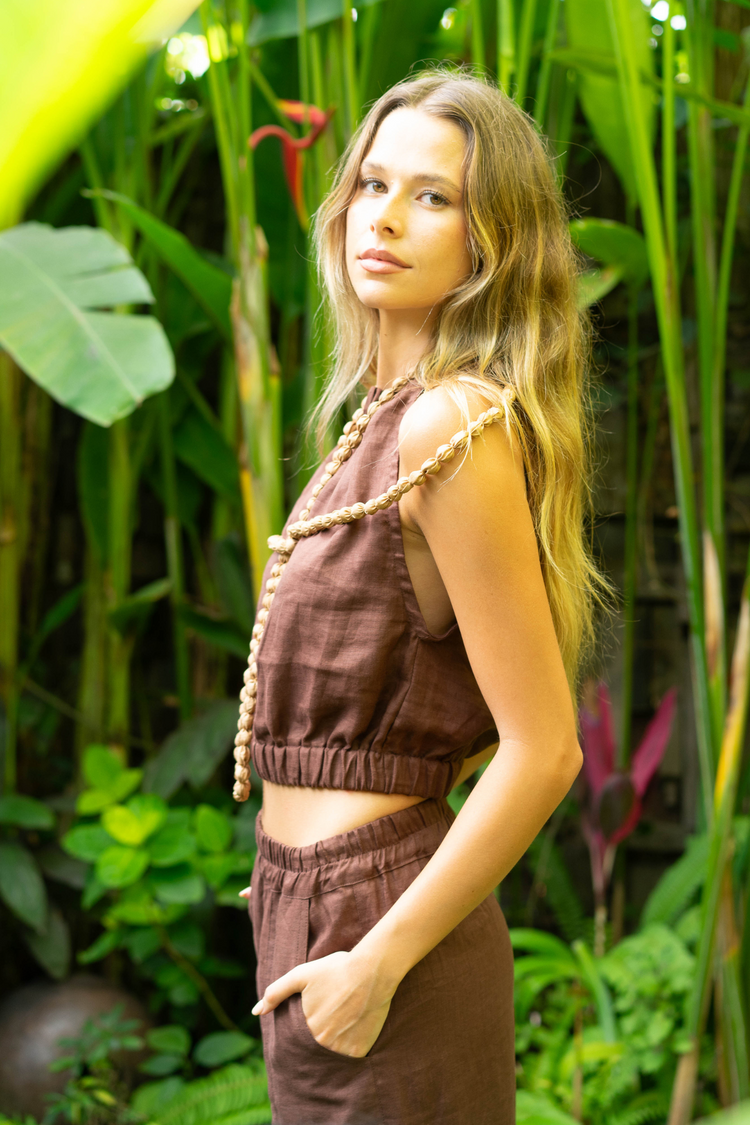 Safari Collection