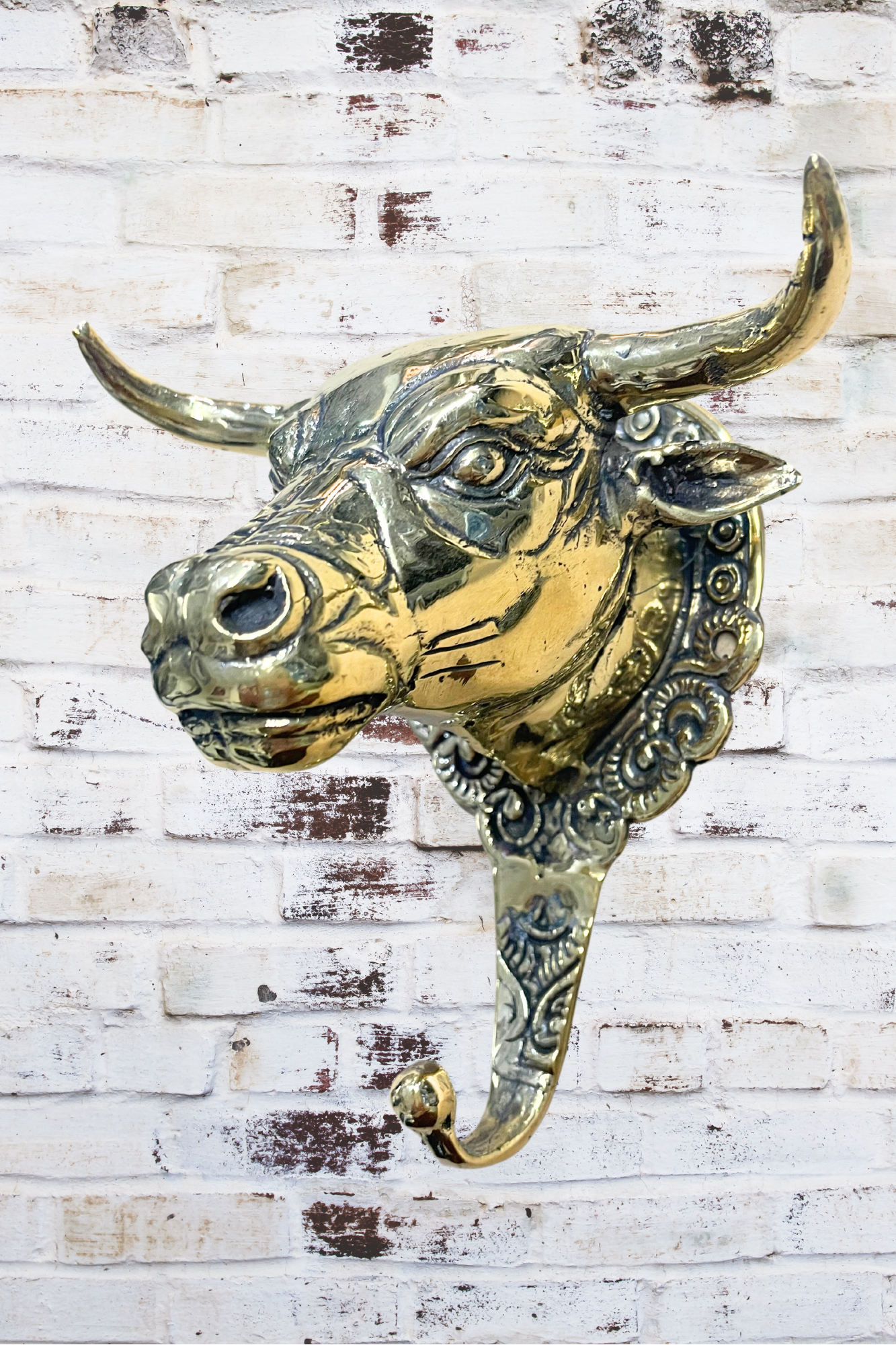'Taurus Bull' Brass Wall Hook